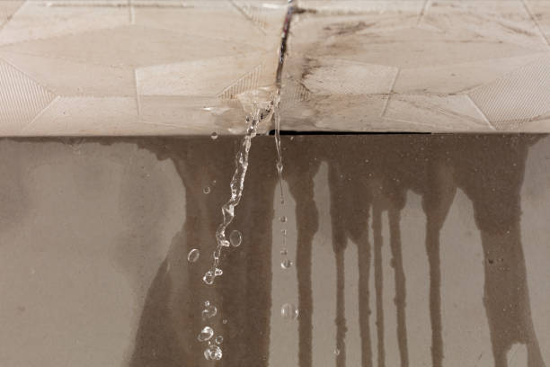 Professional Sewage Cleanup technician working in Leavittsburg, OH